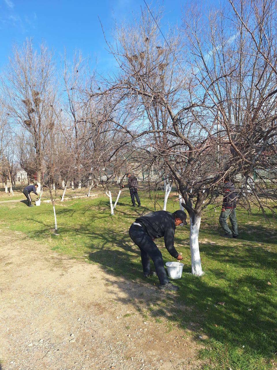 Таза Қазақстан